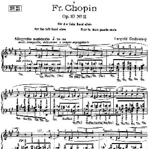 53首改编练习曲 钢琴谱 里奥鲍尔德 戈多夫斯基