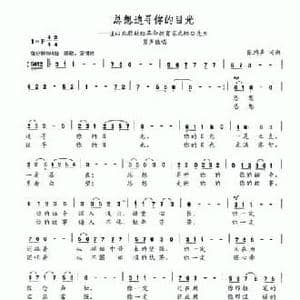 总想追寻你的目光_民歌简谱_词曲:张鸿声 张鸿声
