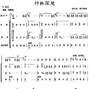 葫芦丝谱 | 竹林深处 葫芦丝 琵琶 扬琴 低音提琴