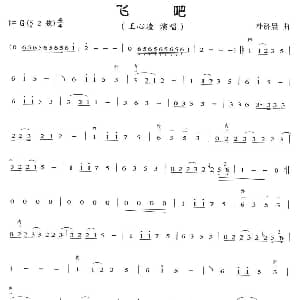 二胡谱 | 飞吧 朴济晨