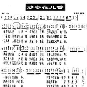 沙枣花儿香_歌曲简谱_词曲:王洛宾 王洛宾