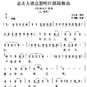 扬剧 老夫人请息怒听红娘说根由 西厢记 红娘唱段 王万青