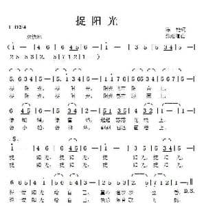 捉阳光_歌曲简谱_词曲:陈艳 张延道