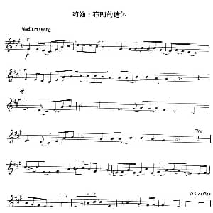 小提琴谱 | 约翰 布朗的遗体