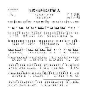 再遇不到你这样的人_歌曲简谱_词曲:周洁颖 林华勇