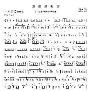 湖边的孔雀简谱_歌曲简谱_词曲: 杨正玺