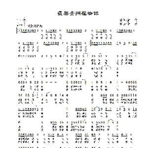 最美贵州在等你_歌曲简谱_词曲:堂仔 景治