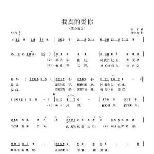 我真的爱你_歌曲简谱_词曲:田宇 曹天寿