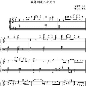 我等到花儿也谢了 钢琴谱 李伟菘