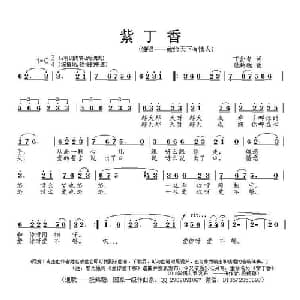 紫丁香_通俗唱法乐谱_词曲:丁金香 段鹤聪