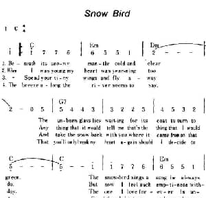 Snow Bird 美国 _外国歌谱
