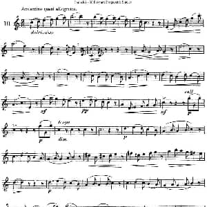 长笛曲谱 | 三十首基础及提高练习曲 NO.10 Garibold 加里波第