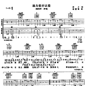 因为爱所以爱 吉他谱 谢霆锋 林夕 谢霆锋