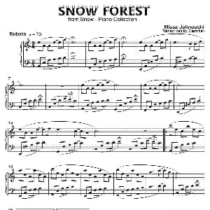 Snow Fest 银森林 钢琴谱 城之内 美莎