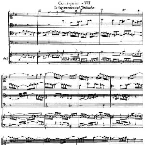 The Art of the Fugue BWV 1080 赋格的艺术 VII 约翰.塞巴斯蒂安.巴赫