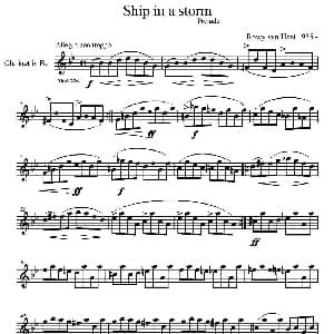 Ship in a storm 单簧管