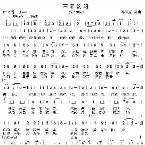 青春沈阳_歌曲简谱_词曲:孙卫东 孙卫东