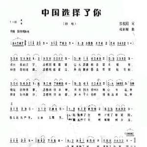 中国选择了你_民歌简谱_词曲:张枚同 张新用