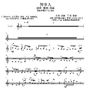 异乡人_歌曲简谱_词曲:李健 李健