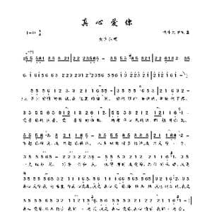 真心爱你_歌曲简谱_词曲:铁木元甲 铁木元甲