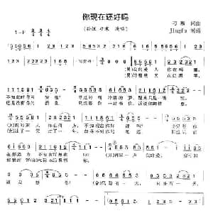 你现在还好吗_通俗唱法乐谱_词曲:刁寒 刁寒