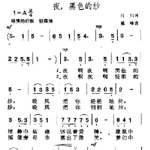 夜,黑色的纱_通俗唱法乐谱_词曲:肖川 姚峰