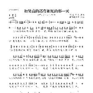 如果真的还有相见的那一天_歌曲简谱