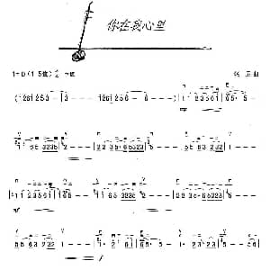 二胡谱 | 你在我心里 汤尼