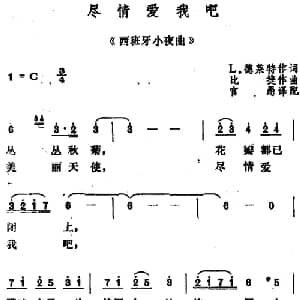 尽情爱我吧 法国 _外国歌谱_词曲:L.德莱特作词 官愚译配 比捷