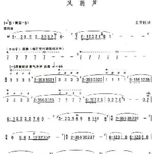葫芦丝谱 | 风葫芦 王厚臣