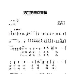 洁白的羽毛寄深情_歌曲简谱_词曲:王凯传 施光南