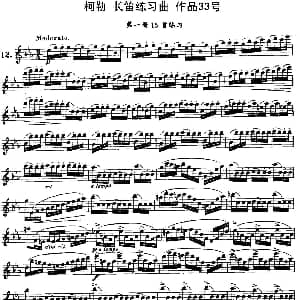长笛曲谱 | 柯勒长笛练习曲作品33号 第一册 12 埃内斯托 柯勒 ERNESTO KOEHLER