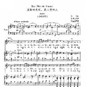 \美丽的尼切,我心爱的人_歌谱投稿