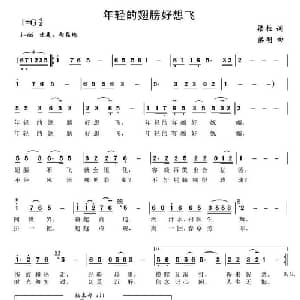 年轻的翅膀好想飞_通俗唱法乐谱_词曲:梁柱 梁明