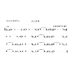 笛子谱 | 小小少年