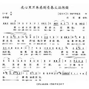 我心里不再感到青春火焰燃烧 意大利 _外国歌谱