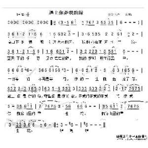 遇上你是我的缘_歌谱投稿