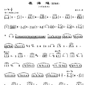 二胡谱 | 在海边 梁云江
