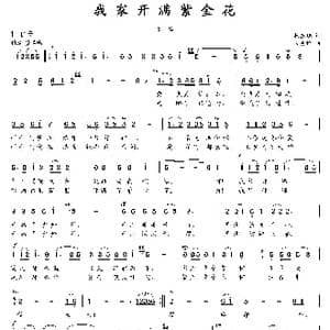 我家开满紫金花_歌曲简谱_词曲:杨玉鹏 朱发雄