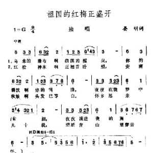 祖国的红梅正盛开_民歌简谱_词曲:晏明 王酩