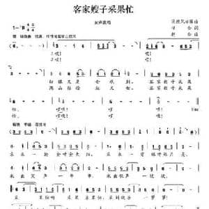 客家嫂子采果忙_民歌简谱_词曲:祥金 赵金