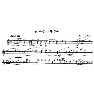 半音小练习曲 单簧管 奥 卡 车尔尼