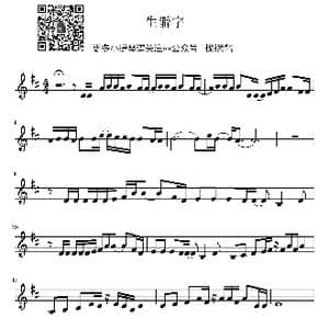 陈柯宇 生僻字小提琴谱_歌谱投稿_词曲:陈柯宇 陈柯宇