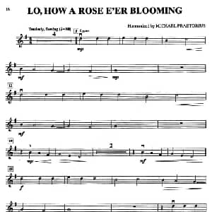 小提琴谱 | LO,HOW A ROSE E'ER BLOOMING 小提琴分谱