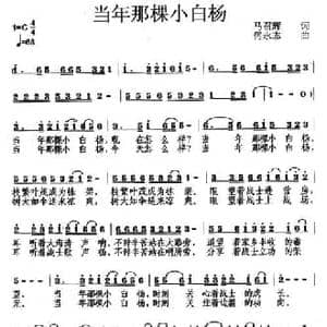 当年那颗小白杨_民歌简谱_词曲:马昭辉 何永志