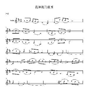 我和我的祖国D调_歌谱投稿