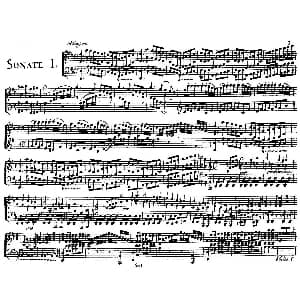 D大调小提琴协奏曲Op.61 钢琴谱 路德维希 冯 贝多芬