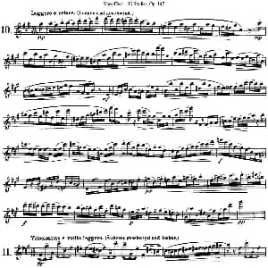 长笛曲谱 | 卡 伊勒特30首长笛练习曲Op.107 NO.10 NO.12 Karg Elert 卡 伊勒特