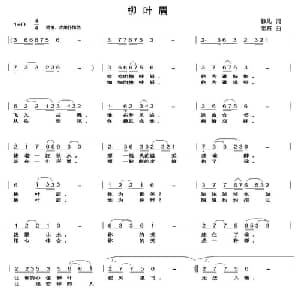 柳叶眉_通俗唱法乐谱_词曲:静儿 老石