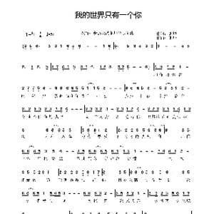 我的世界只有一个你_歌曲简谱_词曲:朗坤 朗坤